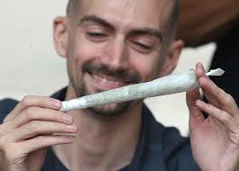 Windsor Marijuana advocates celebrate homecoming of Marc Emery