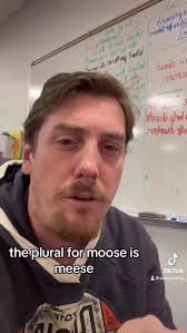 #randomthoughts #funny #butterfly #fleece