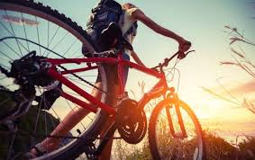Check spelling or type a new query. Bikers Riopardo Noticia Boas Praticas Seja Um Bom Ciclista