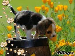 We did not find results for: Gif Smelling Sent Animated Gif On Gifer