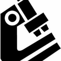 10+ "Elmar Gonzalez" profiles