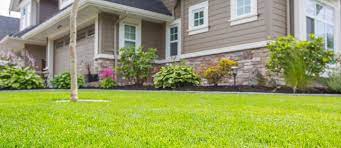 Maybe you would like to learn more about one of these? A Guide To Lawns In Dubai Types Maintenance Cost More Mybayut