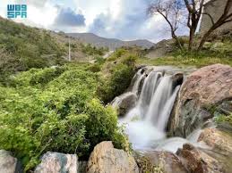 ‫غابة‬‎ ile ilgili görsel sonucu