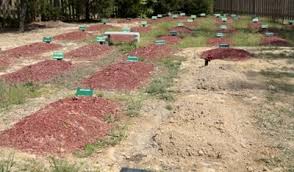 Image result for qabar