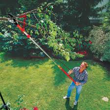 13ft Interlocken Vario Telescopic Handle Tree Care Garden Tasks Ideal Gardens