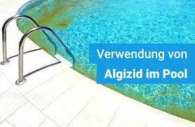 Aber es funktioniert einfach nicht. Algizide Im Pool Wie Wirksam Ist Algizid Gegen Algen Inkl Tipps