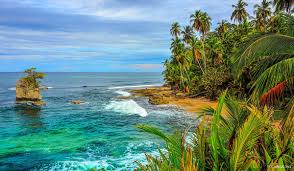 Brave man is caught on tape jumping into an alligator pond to save his puppy who got snatched and he never drops his cigar. 10 Best Activities In Costa Rica Explore Beaches And More