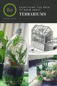 Terrarium Complete Care Guide How To Build Bantam Earth Terrarium Plants In Jars Small Terrarium