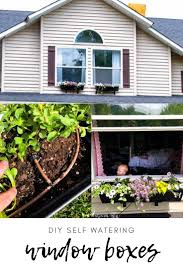 Window boxes continue to be a popular landscape element today and often stand in for front yards at homes that open to the sidewalk. Diy Self Watering Window Boxes Longbourn Farm