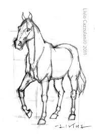 Horse Drawing Google Search Horse Drawing Animal Drawings Horse Drawings