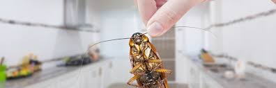 banner-02 – Buganator Pest Control
