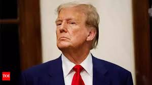 US private sector delegation heads to Greenland amid Donald Trump's threats  to buy the island