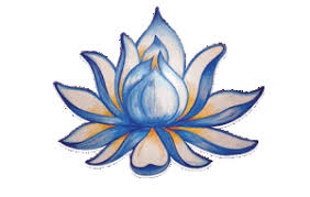 8 reasons to start doing yoga in philadelphia. Hot Yoga Philadelphia In Philadelphia Pa Us Mindbody