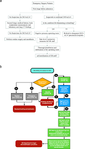 Safety rules for laboratory specific operations will be provided in appropriate laboratory sops. Safety Measures For Covid 19 A Review Of Surgical Preparedness At Four Major Medical Centres In Saudi Arabia Patient Safety In Surgery Full Text