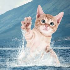 Maybe you would like to learn more about one of these? Dalicat Sweet Dreams Holly Henry Cover Dalicat Remix Spinnin Records