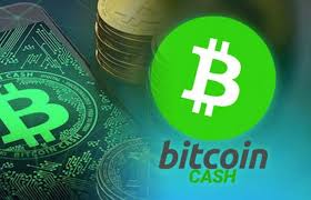 The future shines brightly with unrestricted growth, global adoption, permissionless innovation, and decentralized development. Bitcoin Cash Review Price Features Advantages Disadvantages Science Online
