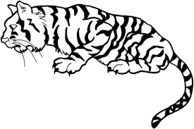 Ausmalbild Tigerbaby 1ausmalbilder Com