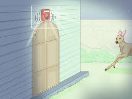 Clues of deer visiting your garden include nibbled produce, roughly clipped leaves, buds and blossoms vanished overnight, hoof prints in soil, and small piles of round black droppings. 3 Ways To Keep Deer Out Of Your Yard Wikihow