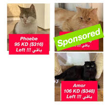 🟢FURTHER UPDATE🟢 MILLION...