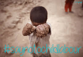Although the government made meaningful efforts in all relevant areas during the. Say No To Child Labour Campaign Leher Ngo In India Child Rights Organization