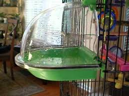 Parrot Bird Bath For Cage Parakeet In His Bird Bath Parakeet Parakeet Cage Bird Bath