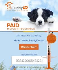 If there is a change in pet ownership, the previous and the current owner are both responsible for ensuring the microchip is updated with new owner's information. All In One Buddy Id Minichip Microchip Id Systems Buddy Rottweiler Kennel Member Card