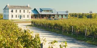 Ravine Vineyard Event Facility Niagara On The Lake Winery Outdoor Wedding Venue Niagara On The Lake Weekend Getaways Winery Tours