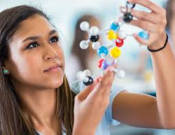 Three Insightful Educational Videos