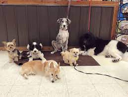 Your complete pet store in omaha! Pets R Us Omaha Photos Facebook