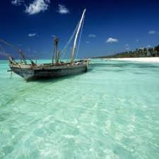 Image result for Heinsia zanzibarica