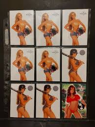 Bench warmer international is a manufacturers a. Lot Of 22 Benchwarmer Trading Cards Wwe Divas Christ