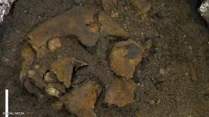 يُعرف الفيروس الآن باسم فيروس المتلازمة التنفسية الحادة الوخيمة كورونا 2 (سارز كوف 2). Ø§ÙƒØªØ´Ø§Ù Ù…Ø®ÙŠÙ ÙŠØ¹ÙˆØ¯ Ù„Ù€8 Ø¢Ù„Ø§Ù Ø¹Ø§Ù… Ø·ÙÙ„ Ù…Ù‚Ø·ÙˆØ¹ Ø§Ù„Ø£ÙˆØµØ§Ù„ Ø£Ø®Ø¨Ø§Ø± Ø³ÙƒØ§ÙŠ Ù†ÙŠÙˆØ² Ø¹Ø±Ø¨ÙŠØ©