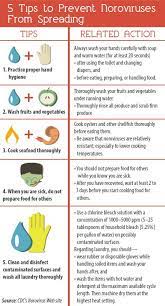 Safe Food Handling Fact Sheet Food Handling Food Safety And Sanitation Food Safety Posters