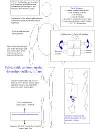 Pin On Pt