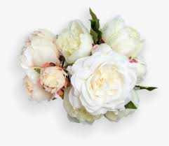 Check spelling or type a new query. Peony Png Images Free Transparent Peony Download Kindpng