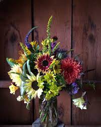 Helianthus Annuus Helianthus Lemon Queen Veronica Corcosmia Solidago Euphorbia Aster Little Carlo Oenthera S Echinacea Purpurea Nasturtium Seed Pods