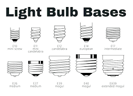 Light Bulb Base Thedaily Online