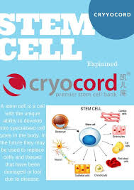 You can also bookmark this. Cryocord Sdn Bhd Cryocord Profile Pinterest