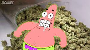 Spongebob 2020 wallpaper for free download in different resolution ( hd widescreen 4k 5k 8k ultra hd hd wallpapers and background images tons of awesome spongebob weed wallpapers to download for free. Spongebob Funny Weed Quotes Quotesgram