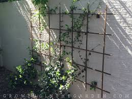 Growing vines and other vertical elements in a garden adds height, interest, expands useful space, and sometimes even acts as a privacy screen! Vertical Gardening Ideas 10 Ways To Add Vertical Space To Your Garden Growing In The Garden