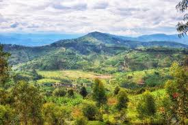 Canon powershot g10, shutter speed: Beautiful Rural Landscape With Agricultures Terraces Rwanda Stock Photo Picture And Royalty Free Image Image 123759370