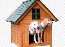 This extra large dog house has a removable center partition to allow you to keep your dogs together, or apart inside. Labrador Retriever Golden Retriever Dog Houses Kennel Cat Png 800x600px Labrador Retriever Cat Dog Dog Breed