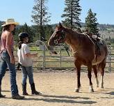 Horsemanship Boot Camp
