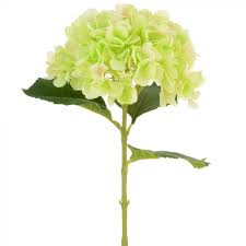 Artificial green hydrangea flowers 8 stems. Sale 65cm Light Green Artificial Hydrangea Silk Flower For Floristry Crafts