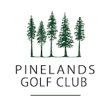 Image result for what happened to the ravines golf course in florida