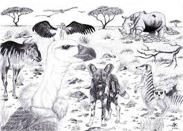 Tiere Der Afrikanischen Savanne Afrika Zeichnung Tiere Zeichnungen Von Adriana Koska Bei Kunstnet