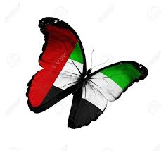 صور الامارات Archives Page 2 Of 5 آرابيا Uae National Day Kuwait National Day Uae Flag