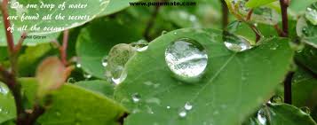 143 poems of pablo neruda. Waterdrops Ocean Quotes Quotesgram