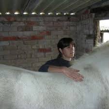 Jackie Ackerman (@jamesmayfan)