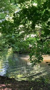 Oberalster Klein Borstel Video In 2020 Natural Pond Beautiful Places Nature Beauty